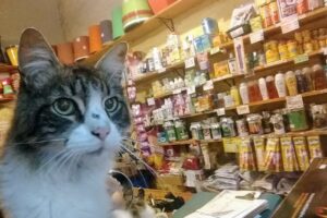 Forrajeria El Granero De Belén