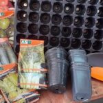 Forrajeria el Molino