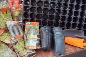 Forrajeria el Molino