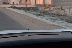 Forrajería El Palenque