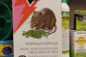 Forrajería El Pampa