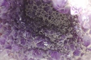 Forrajeria El Progreso Cosquin