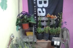 Forrajería El Trébol