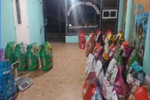 Forrajeria Hakuna Matata