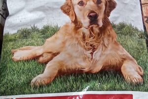 Forrajeria Intermedanos