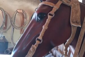 Forrajería La Herradura