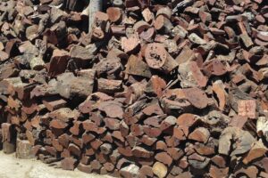 Forrajeria La Negrita