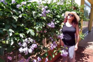 Forrajeria La Querencia