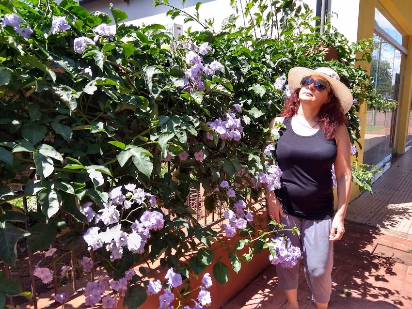 Forrajeria La Querencia