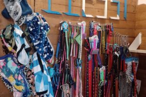 Forrajeria Llessi e Insumos de Electricidad