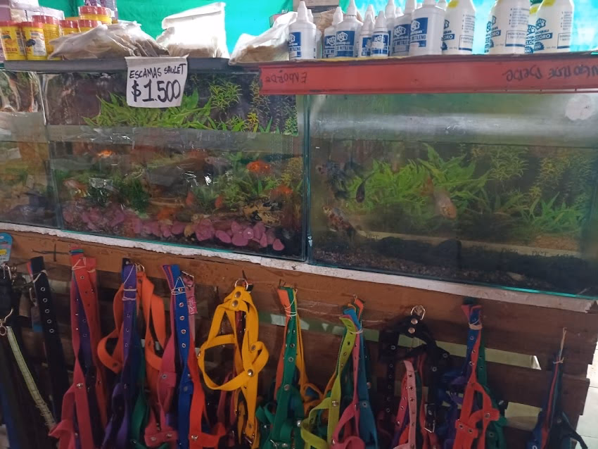 Forrajeria lo de guadalupe