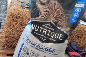 Forrajeria Los Cinco Patitos