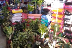 Forrajeria los criadores