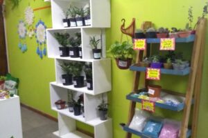 Forrajeria los robles