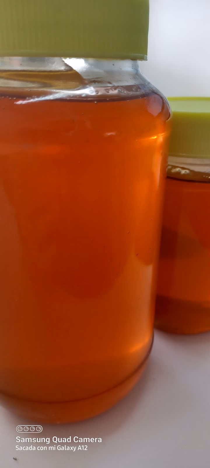 Forrajeria Los Turkitos