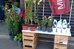 Forrajería Makana Riobamba 2396