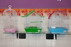 Forrajeria Mis 2 Angeles