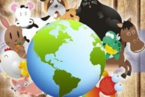 Forrajeria Mundo Mascota