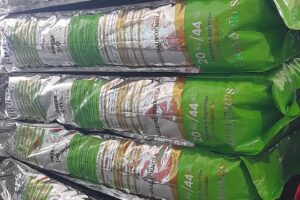 Forrajeria Pet Shop La Unión