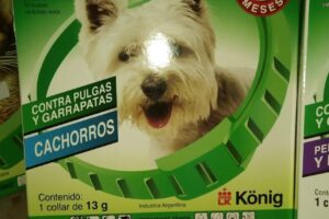 Forrajeria Scigalszky