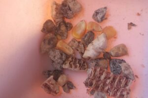 Forrajeria Super Campo