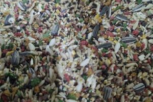 Forrajeria Vida Silvestre