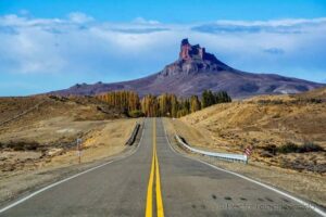 Forrajeria y pet shop La Patagonia