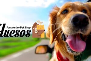 Forrajeria y Petshop Huesos