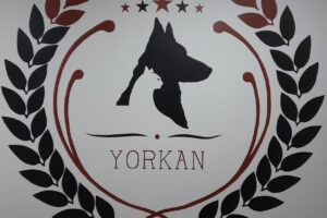 Forrajería Yorkan