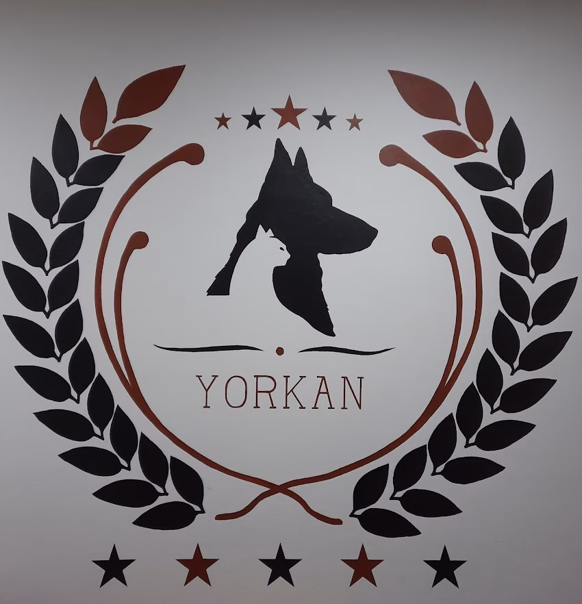 Forrajería Yorkan
