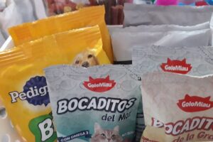 Forrajes Mayca Alimentación Animal