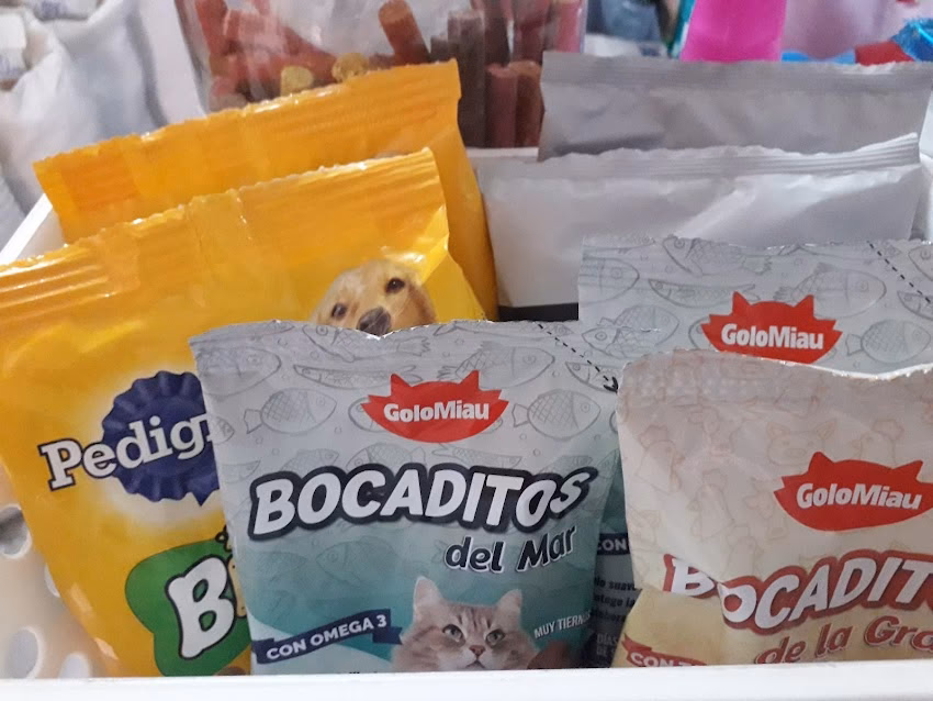 Forrajes Mayca Alimentación Animal