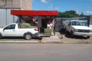 Forrajes Y Alim Mascotas Mingo