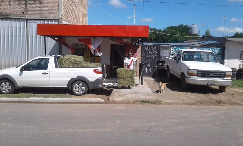 Forrajes Y Alim Mascotas Mingo