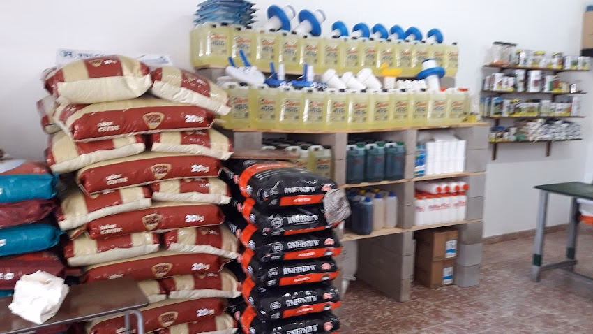 Forrajes y Semillas Fuentes Forrajería Cloro Alimento para gatos y perros