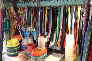 Foyel medicina veterinaria Farmacia