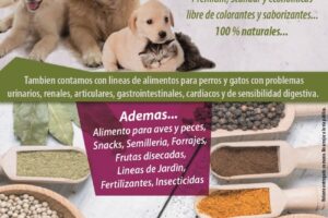 Frente Norte Agrocomercial Srl