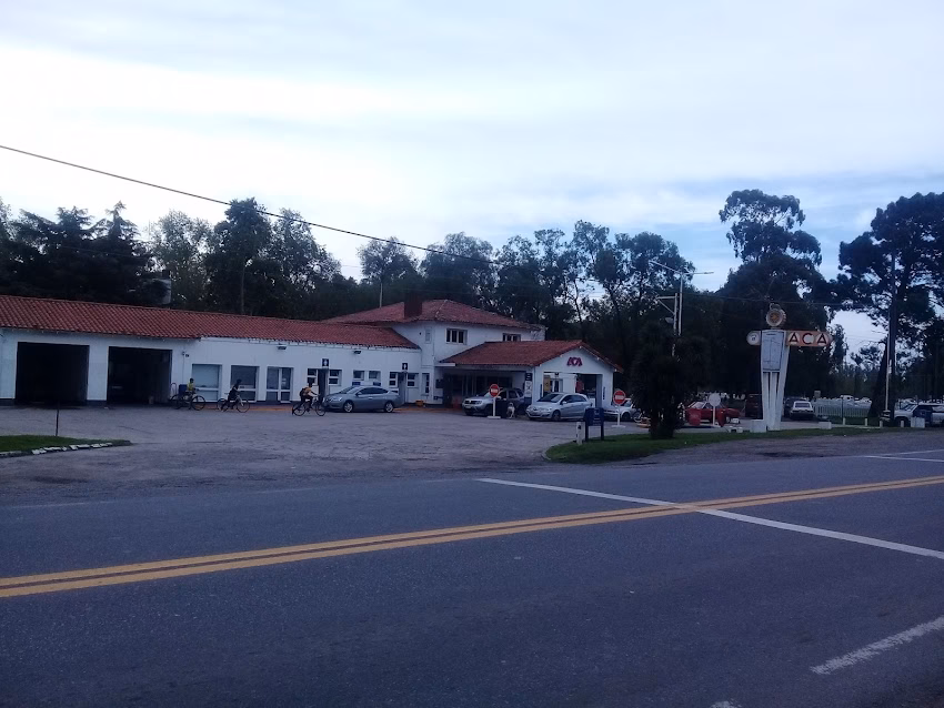 Galer Nutricion Animal