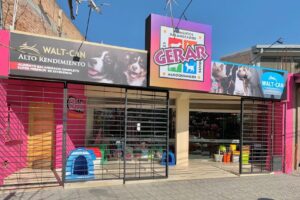 Gerar Alimentos Balanceados Centro de San Rafael