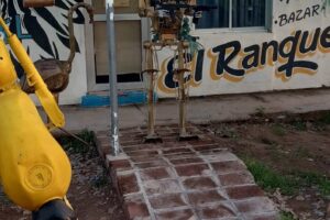 Gi Accesorios Para Mascotas