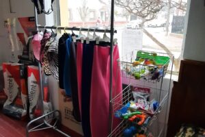 Gina Tienda para mascotas