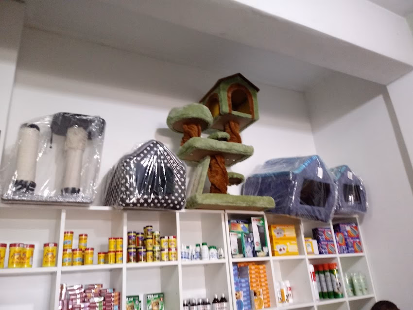 Gou Pet pets shop y peluquería canina