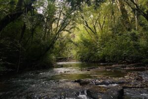 Granja La Lechuza Ecolodge