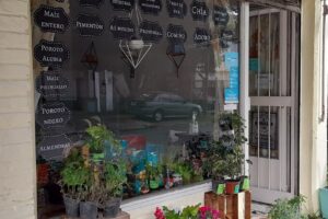 Green Village peluqueria canina