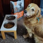 Güesos Pet Food Store