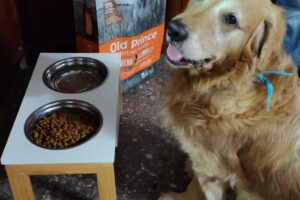 Güesos Pet Food Store