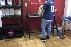 Hakuna Matata Consultorio Veterinario