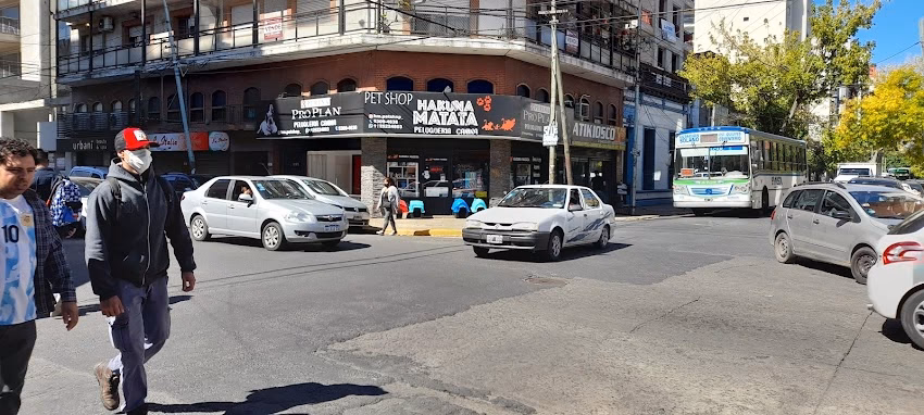 Hakuna Matata Consultorio Veterinario