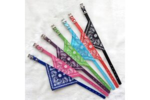 Hakuna Matata Pet Shop