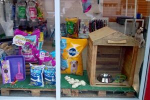 Hey Bulldog Pet Shop